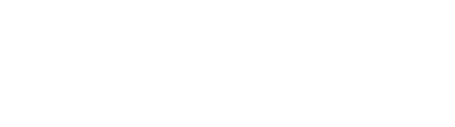 FB Mondial Logo