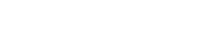 CFMoto Logo